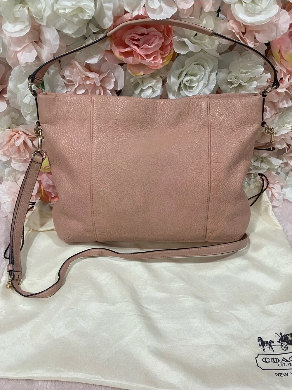 Coach East/West Isabelle Shoulder Bag